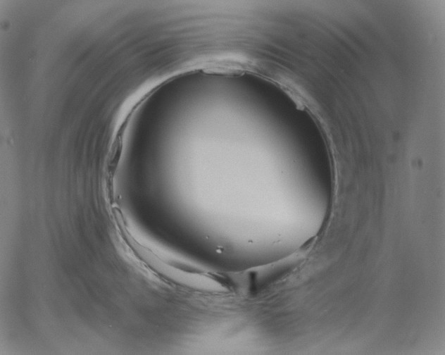 X0000055990960200509021635