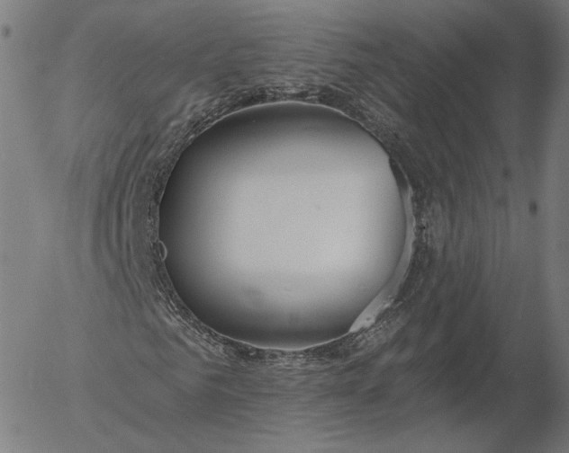 X0000055990961200509021634