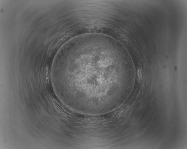 X0000055990963200509021634