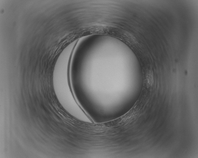 X0000055990964200509021634