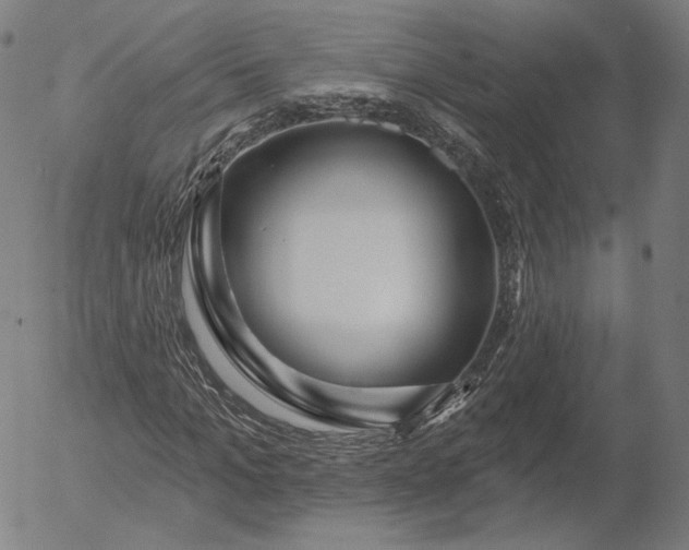 X0000055990965200509021634