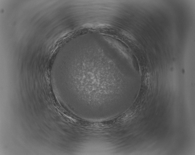 X0000055990966200509021634