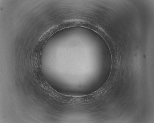 X0000055990967200509021634