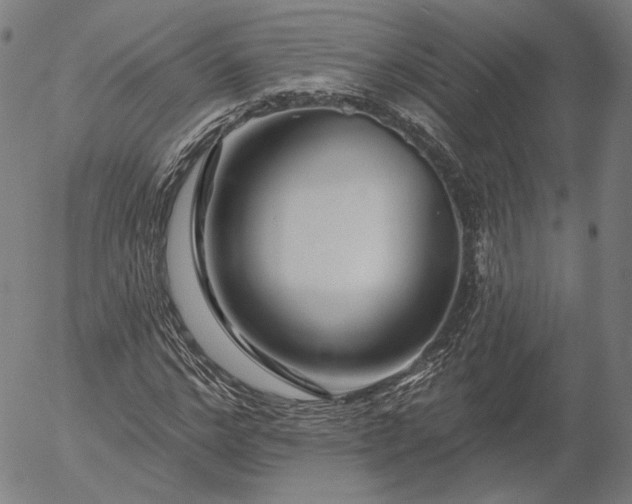 X0000055990968200509021634