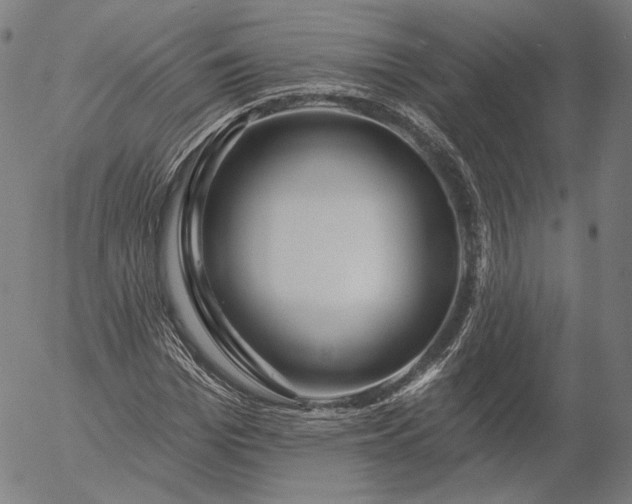 X0000055990969200509021634