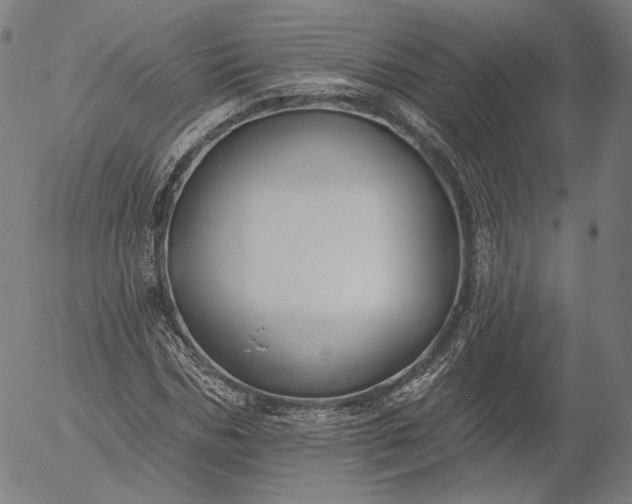 X0000055990970200509021634