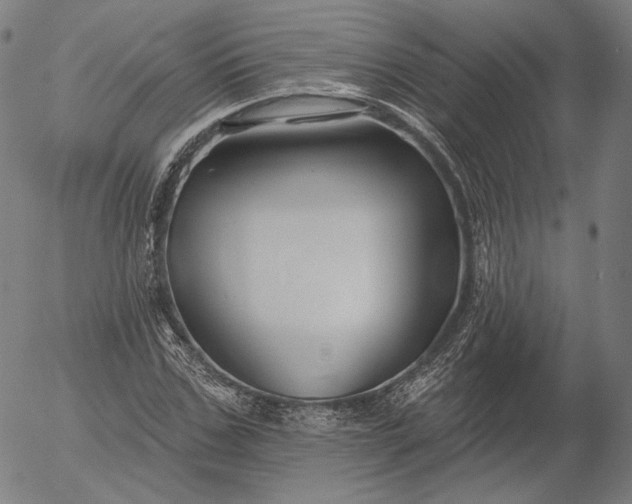 X0000055990971200509021634