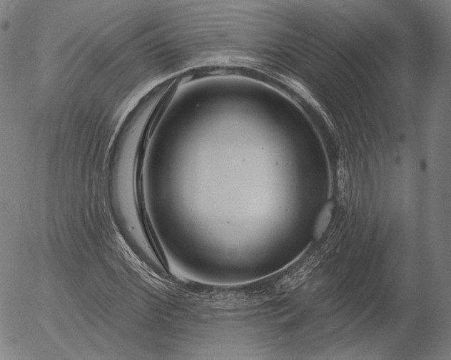 X0000055990972200509021634