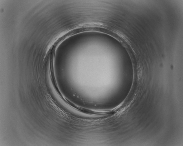 X0000055990973200509021634