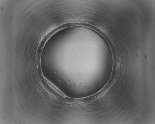 X0000055990974200509021634