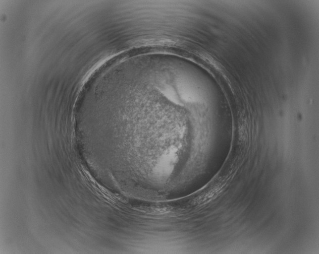 X0000055990975200509021634