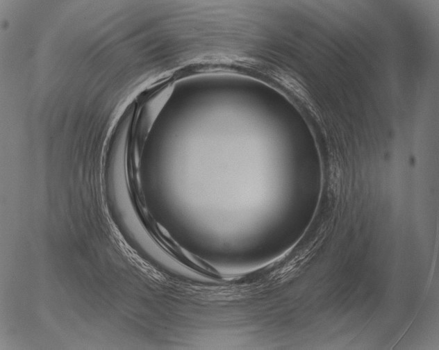 X0000055990976200509021634