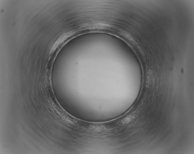 X0000055990978200509021634