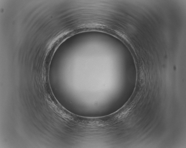 X0000055990979200509021634