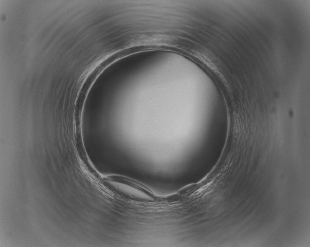 X0000055990980200509021634