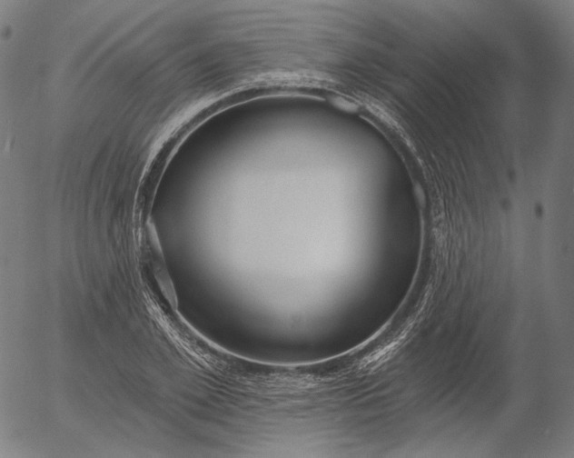 X0000055990981200509021634