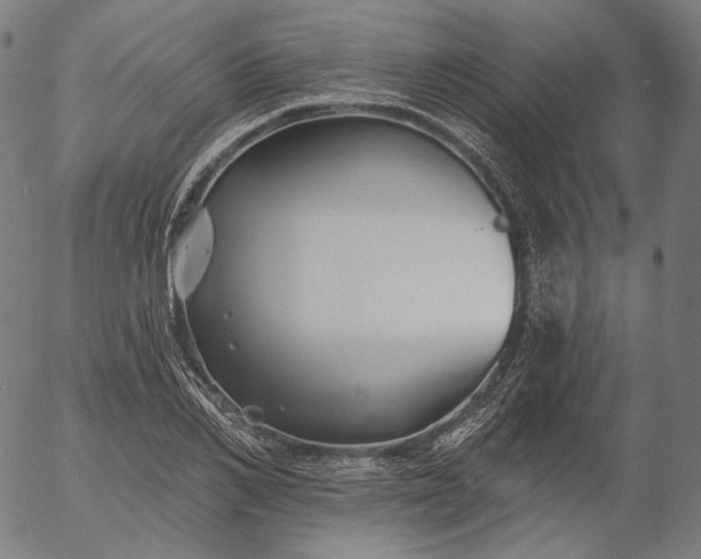 X0000055990982200509021634