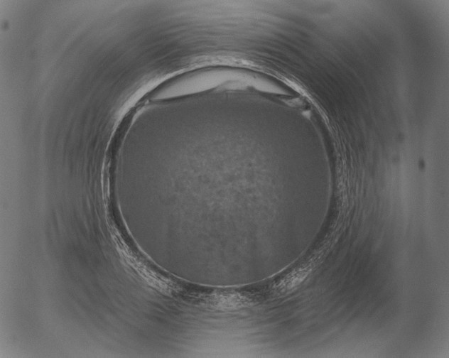 X0000055990983200509021634