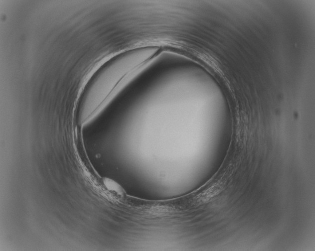 X0000055990984200509021634