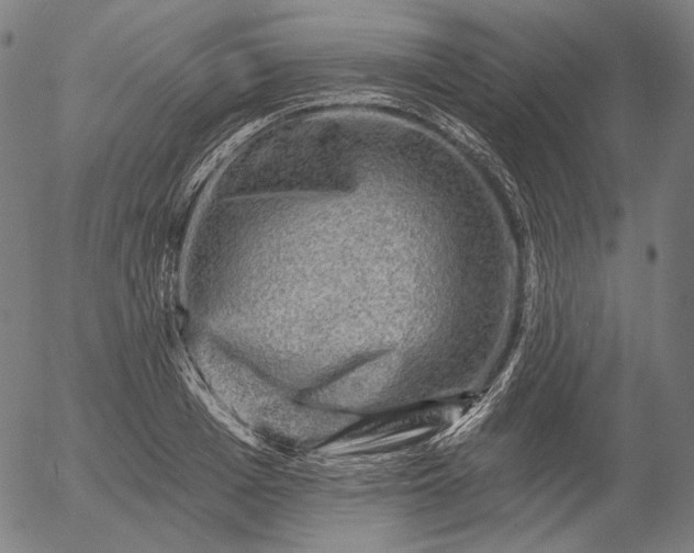 X0000055990985200509021634