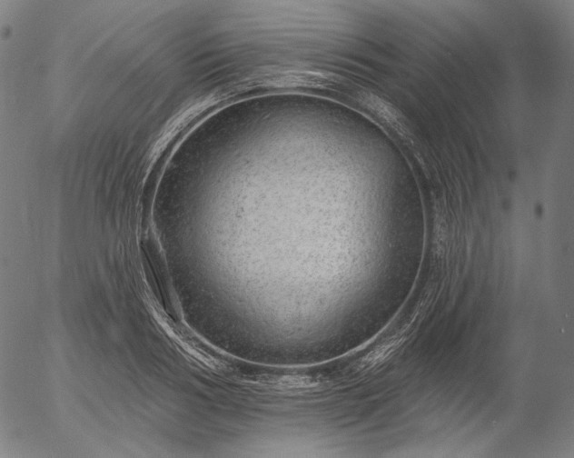 X0000055990986200509021634