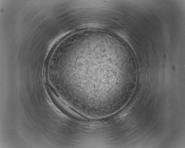 X0000055990987200509021634