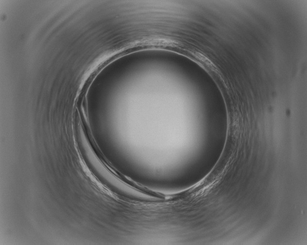 X0000055990989200509021634