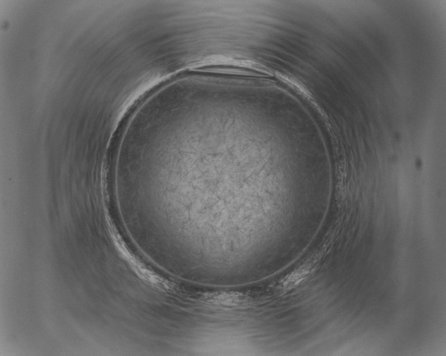 X0000055990991200509021634