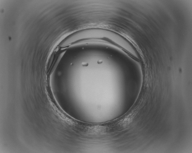 X0000055990992200509021633