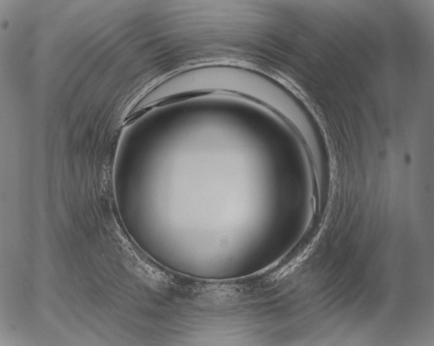 X0000055990993200509021633