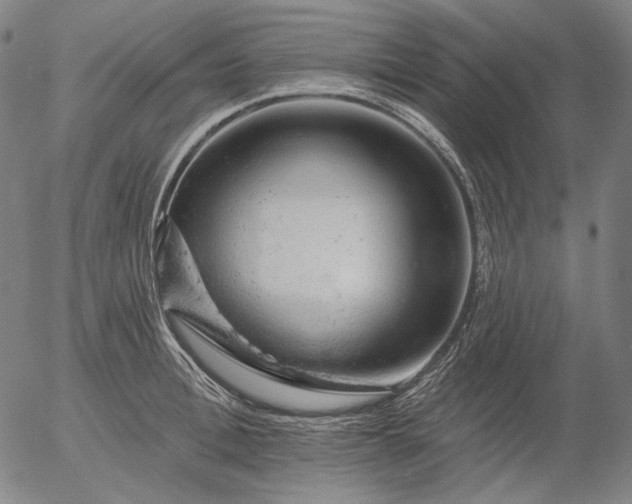 X0000055990996200509021633