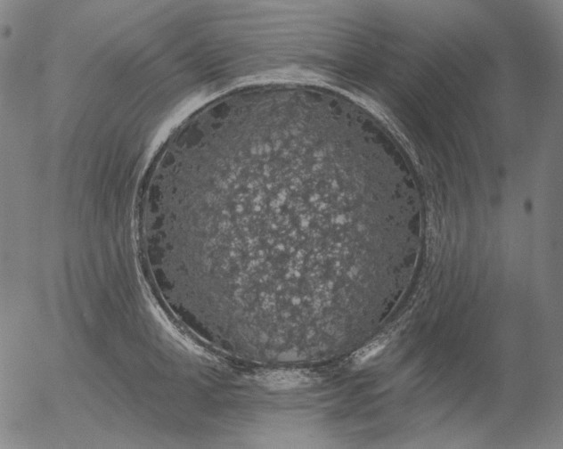 X0000055990998200509021633