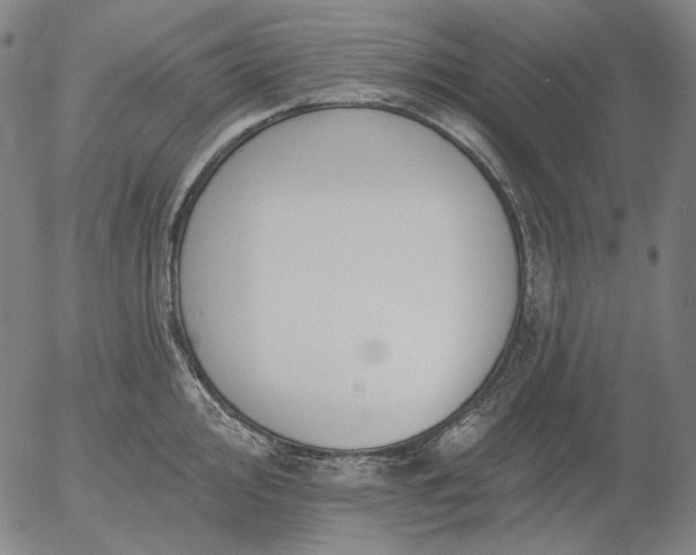 X0000055991000200509021633