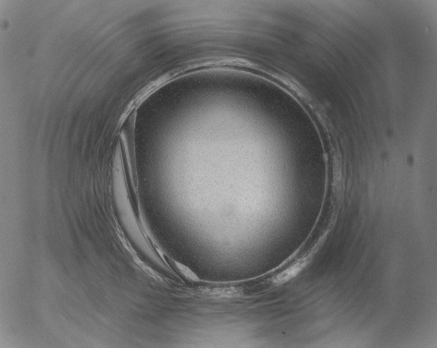 X0000055991001200509021633