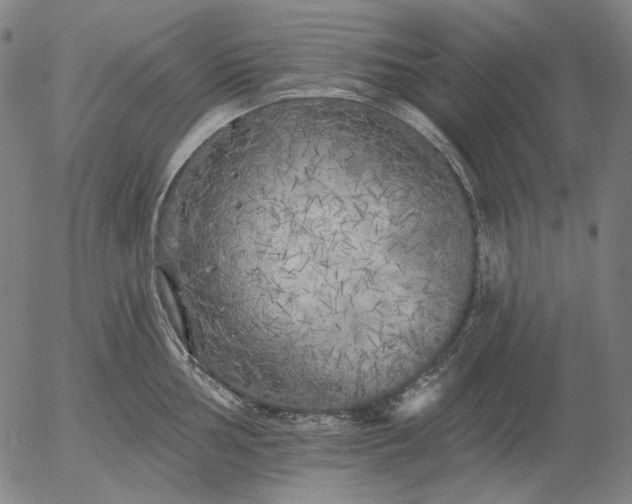 X0000055991002200509021633