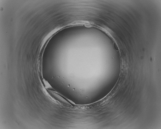 X0000055991003200509021633