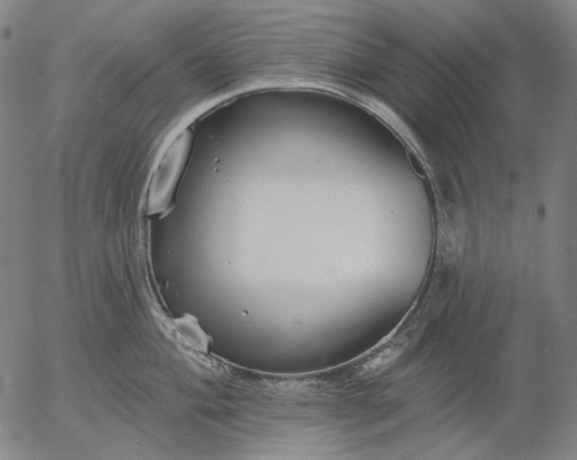 X0000055991004200509021633