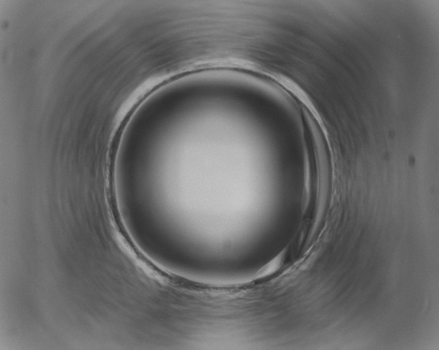 X0000055991005200509021633