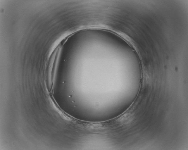 X0000055991006200509021633