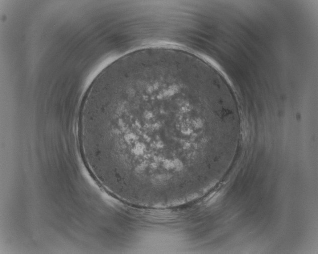 X0000055991007200509021633