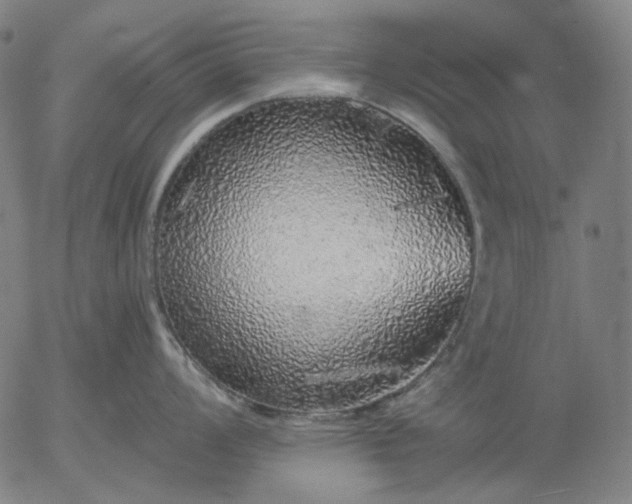 X0000055991008200509021633