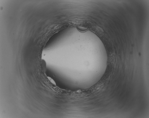 X0000055991009200509021632