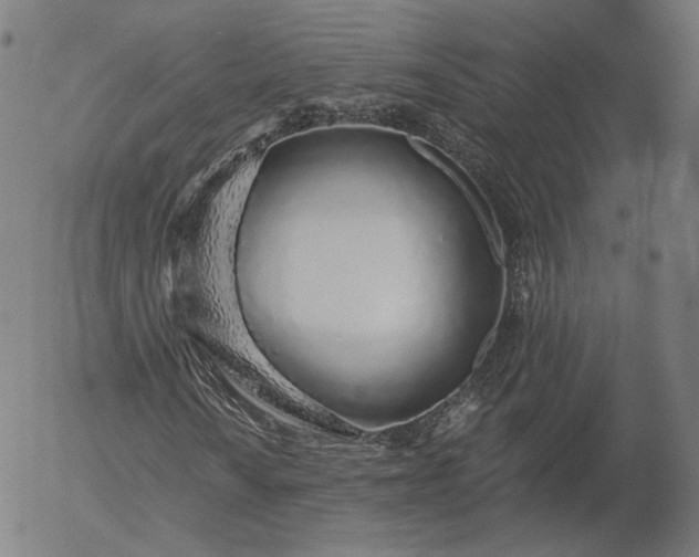 X0000055991010200509021632