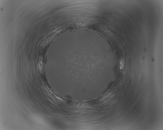 X0000055991011200509021632