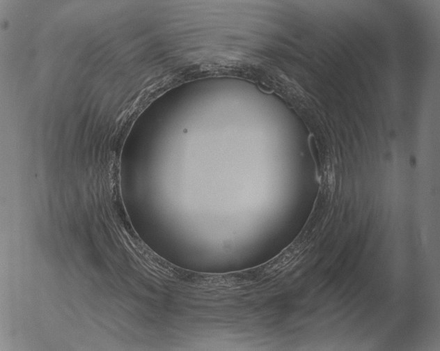 X0000055991012200509021632