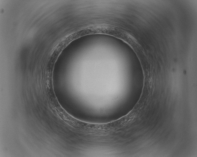 X0000055991016200509021633