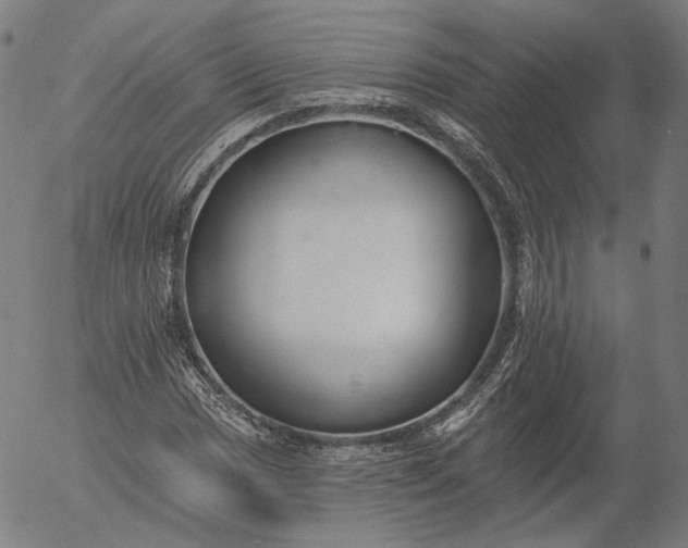 X0000055991017200509021633