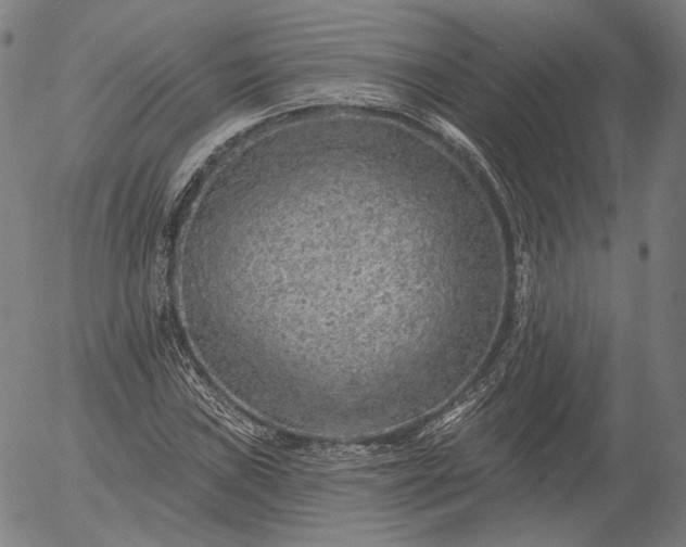 X0000055991019200509021633