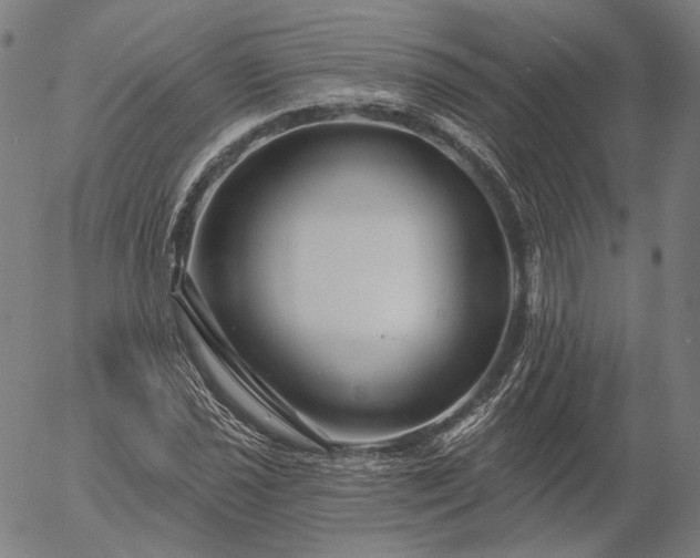 X0000055991021200509021633