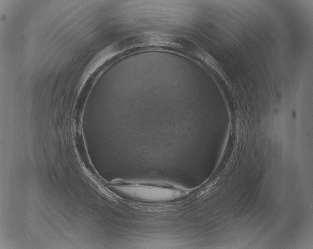 X0000055991024200509021633